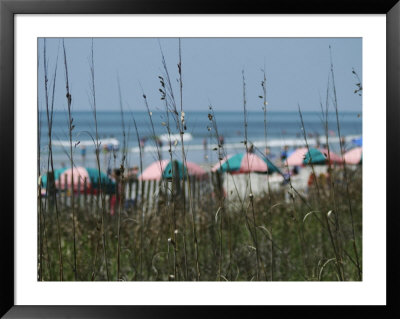 Umbrellas With Sea Grass, Myrtle Beach, Sc by Jim Mcguire Pricing Limited Edition Print image