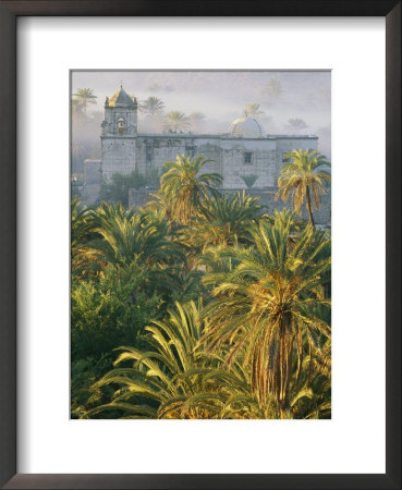 View Over Palm Trees Of The Mist-Shrouded San Ignacio Mission by Bill Hatcher Pricing Limited Edition Print image