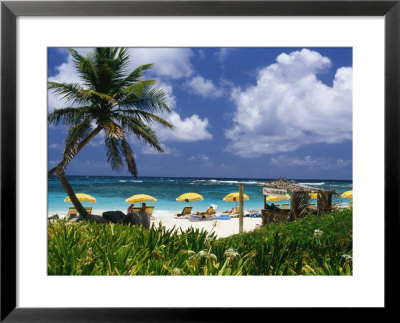Dawn Beach On St. Martin, Caribbean by Greg Johnston Pricing Limited Edition Print image