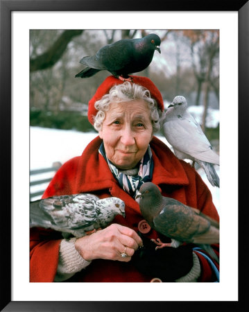 Birds Perched On Mature Woman Sitting In Park by Paul Katz Pricing Limited Edition Print image