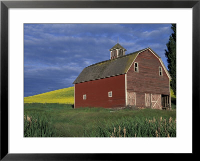 Red Barns And Canola Fields, Eastern Washington, Usa by Darrell Gulin Pricing Limited Edition Print image
