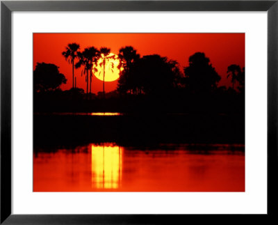 Tropical Sunset, Botswana by Charles Sleicher Pricing Limited Edition Print image