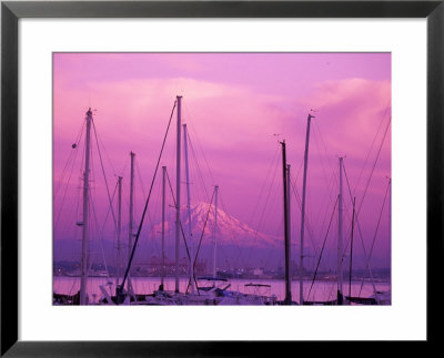 Elliot Bay Marina With Mount Rainier At Sunset, Seattle, Washington, Usa by Jamie & Judy Wild Pricing Limited Edition Print image