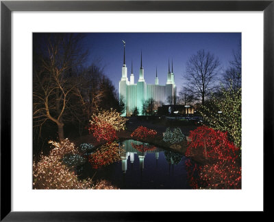 Colored Lights Decorate Bushes On The Mormon Temple Grounds by Karen Kasmauski Pricing Limited Edition Print image