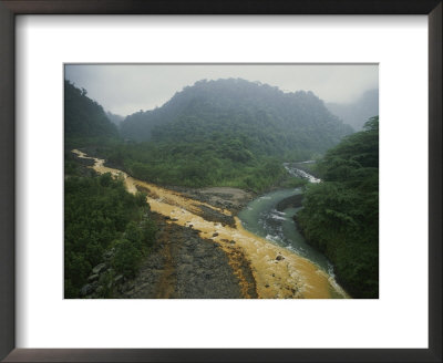 Soil Erosion In A Rain Forest, Costa Rica by Michael Melford Pricing Limited Edition Print image
