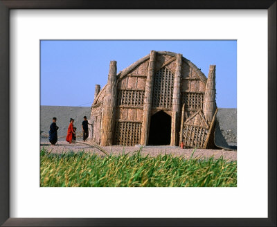 Marsh Arab Reed House, Iraq by Jane Sweeney Pricing Limited Edition Print image