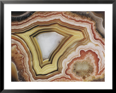 Close-Up Of A Patterned Rock by David Boyer Pricing Limited Edition Print image