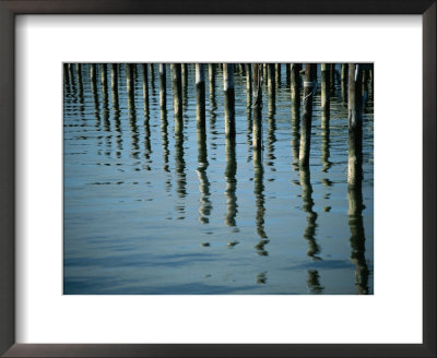 Lafayette Park Spring Tulips Lead To The White House by Stephen St. John Pricing Limited Edition Print image