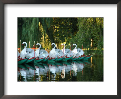 Swan Boats In Public Garden, Boston, Massachusetts by Lisa S. Engelbrecht Pricing Limited Edition Print image