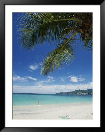 Palm Fronds Hang In The Foreground As A Swimmer Exits The Water by Michael Melford Pricing Limited Edition Print image