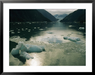 Small Pieces Of Ice Floating In Glacier Bay by Anne Keiser Pricing Limited Edition Print image