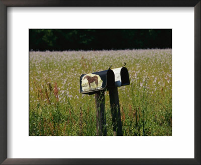 A Pair Of Mailboxes Set On The Edge Of A Field Of Wildflowers by Raymond Gehman Pricing Limited Edition Print image