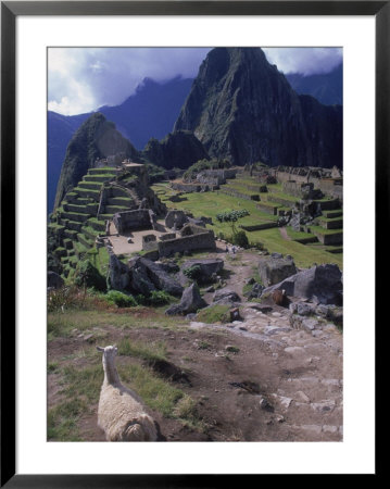 Inca Ruins Of Machu Picchu, Llama, Peru by Shirley Vanderbilt Pricing Limited Edition Print image