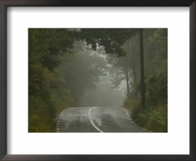 Ireland, Foggy Road In Countryside by Keith Levit Pricing Limited Edition Print image