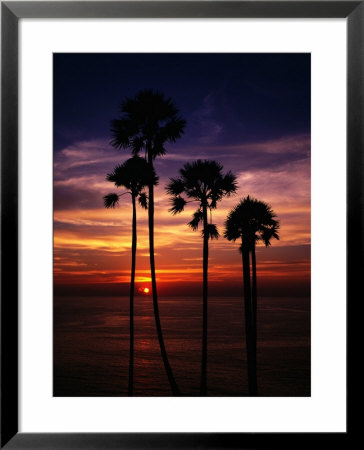 Sunset And Silhouetted Palm Trees At Phrom Thep Cape, Thailand by Manfred Gottschalk Pricing Limited Edition Print image