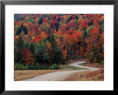 Central Vermont In The Fall, Usa by Charles Sleicher Pricing Limited Edition Print image
