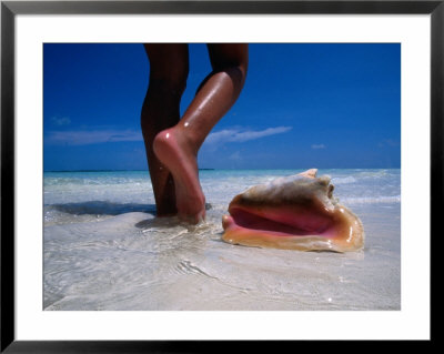Female Feet And Conch Shell On A Pink Sand Beach, Pink Sands Beach, Harbour Island, Bahamas by Greg Johnston Pricing Limited Edition Print image