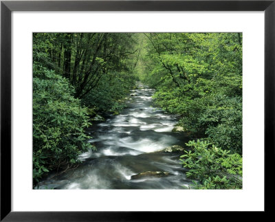 Oconaluftee River, Smoky Mt. National Park, Nc by Jack Hoehn Jr. Pricing Limited Edition Print image