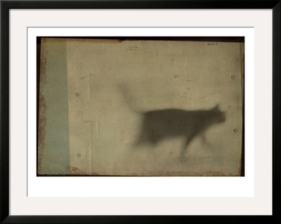 Blurred Cat Walking by Mia Friedrich Pricing Limited Edition Print image
