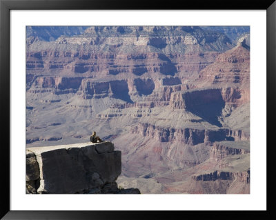 Woman Looking Over The Grand Canyon, Arizona, Usa by Angelo Cavalli Pricing Limited Edition Print image