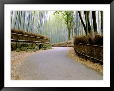 Bamboo Line, Kyoto, Japan by Shin Terada Pricing Limited Edition Print image