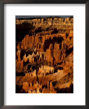 Sunrise Amphitheatre In Bryce Canyon National Park, Utah, Usa by William Sutton Pricing Limited Edition Print image