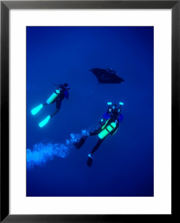 Two Divers And Manta Ray Between Batteaux Bay And Little Tobago Island, Trinidad & Tobago by Michael Lawrence Pricing Limited Edition Print image