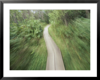 A Bike Path In The Apostle Islands by Raymond Gehman Pricing Limited Edition Print image