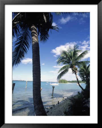 Key Biscayne, Miami, Fl by Mark Gibson Pricing Limited Edition Print image