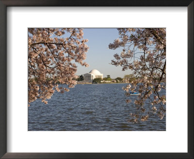 Boaters In Tidal Basin With Cherry Trees And Jefferson Monument by Charles Kogod Pricing Limited Edition Print image