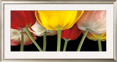 Sunshine Tulips by Assaf Frank Pricing Limited Edition Print image