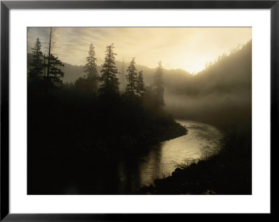 Smith River Shrouded In Fog by Phil Schermeister Pricing Limited Edition Print image