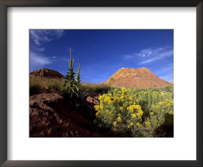 Desert Landscape With Rock Formations And Wildflowers by Raul Touzon Pricing Limited Edition Print image