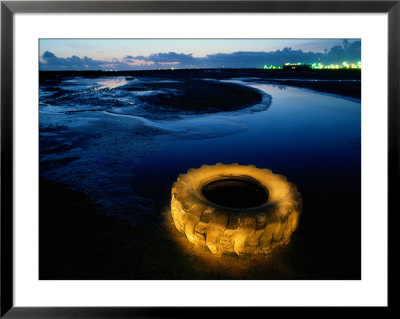 A Discarded Tire Glowing Like Neon In The Marsh by Raymond Gehman Pricing Limited Edition Print image