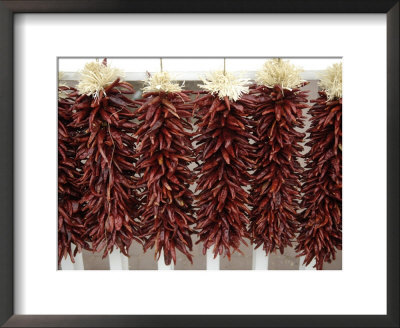 Red Peppers Hung Up To Dry, New Mexico by Joel Sartore Pricing Limited Edition Print image