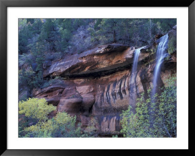 Middle Emerald Pool Stream With Cottonwood Leaves, Zion National Park, Utah, Usa by Jamie & Judy Wild Pricing Limited Edition Print image