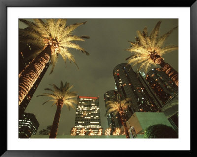 Palm Trees In Century Plaza, Los Angeles, California, Usa by John & Lisa Merrill Pricing Limited Edition Print image