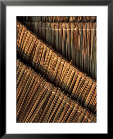 Strung Bamboo Reeds, Akha Hill Tribe Village, Thailand by Claudia Adams Pricing Limited Edition Print image