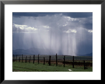 Veils Of Rain Stream From Sunlit Clouds Over Farmland by George Grall Pricing Limited Edition Print image