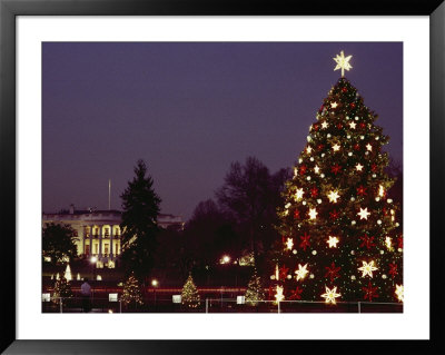 Night View Of The Lighted Tree In Front Of The White House by Kenneth Garrett Pricing Limited Edition Print image