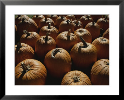 The Slant Of Twilight Falls Across A Cluster Of Pumpkins by Stephen St. John Pricing Limited Edition Print image