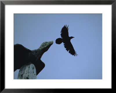 Carved Raven Tops A Totem Pole, With Live Raven Flying Above by Michael Melford Pricing Limited Edition Print image