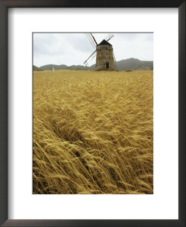 A Windmill Stands In A Field Of Grain by Bill Curtsinger Pricing Limited Edition Print image