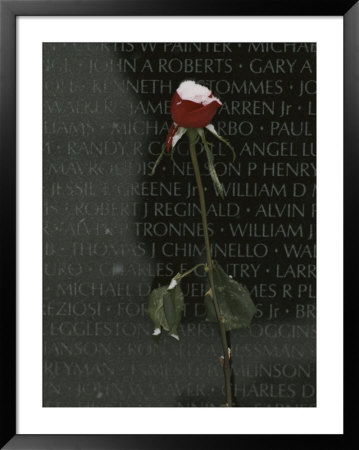 A Snow Dusted Rose Speaks Of Lasting Love At A War Memorial by Karen Kasmauski Pricing Limited Edition Print image