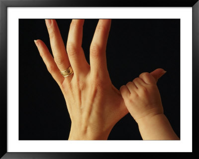 A Babys Tiny Fist Clings To Her Mothers Thumb by Phil Schermeister Pricing Limited Edition Print image