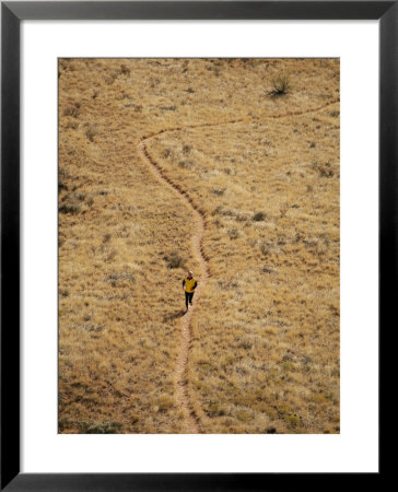 A Person Jogging Along A Desert Trail by Bill Hatcher Pricing Limited Edition Print image