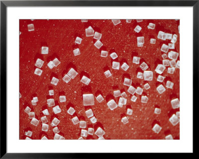Salt Crystals by Jack Fletcher Pricing Limited Edition Print image