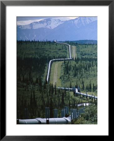 The Trans-Alaska Pipeline Cuts Through Wilderness Towards Mountains by Melissa Farlow Pricing Limited Edition Print image