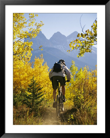 Cyclist Biking Through Trees With Autumn Foliage by Mark Cosslett Pricing Limited Edition Print image