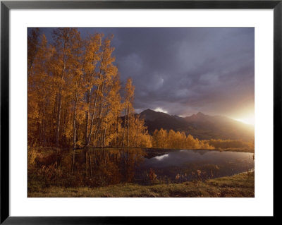 Autumn Landscape Near Telluride, Colorado by Annie Griffiths Belt Pricing Limited Edition Print image